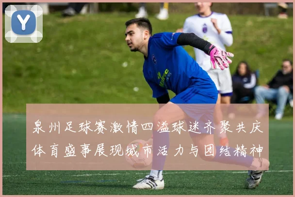 泉州足球赛激情四溢球迷齐聚共庆体育盛事展现城市活力与团结精神