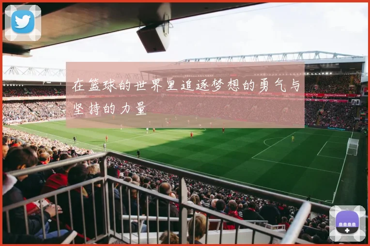 在篮球的世界里追逐梦想的勇气与坚持的力量