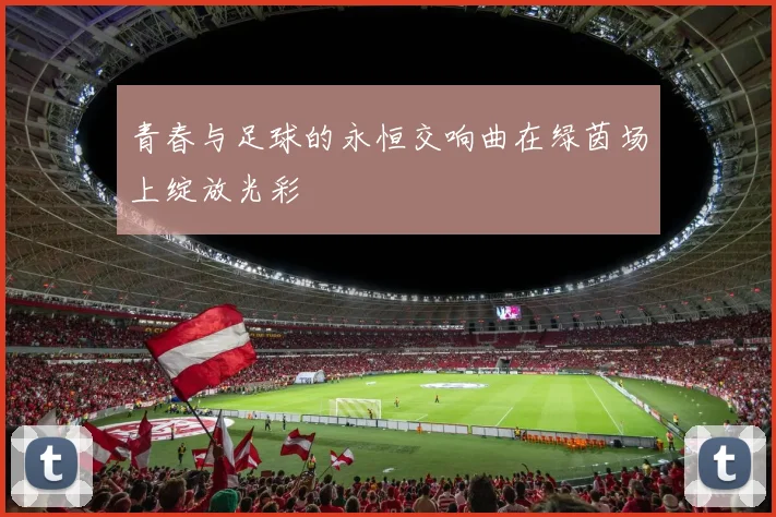 青春与足球的永恒交响曲在绿茵场上绽放光彩