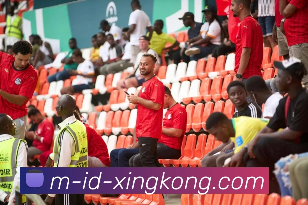 星空官网平台生态图