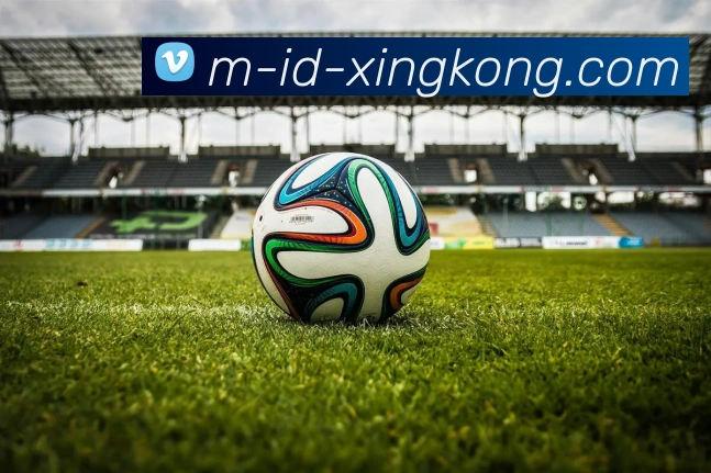 星空官网APP 封面图