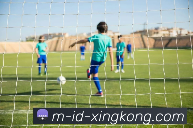 数据防护可视化